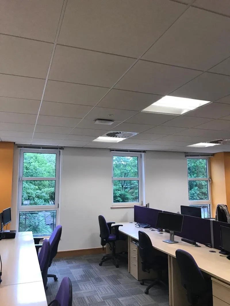 An occupied open-plan office with a suspended ceiling, desks, screens and privacy panels