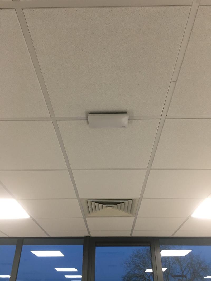 A white access point mounted flat against a suspended ceiling tile, spanning the grid, with the cable entering above the tile