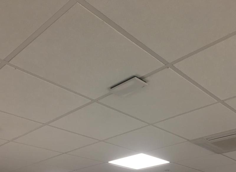 A white access point mounted flat against a suspended ceiling tile in a finished office, the cable entering above the tile