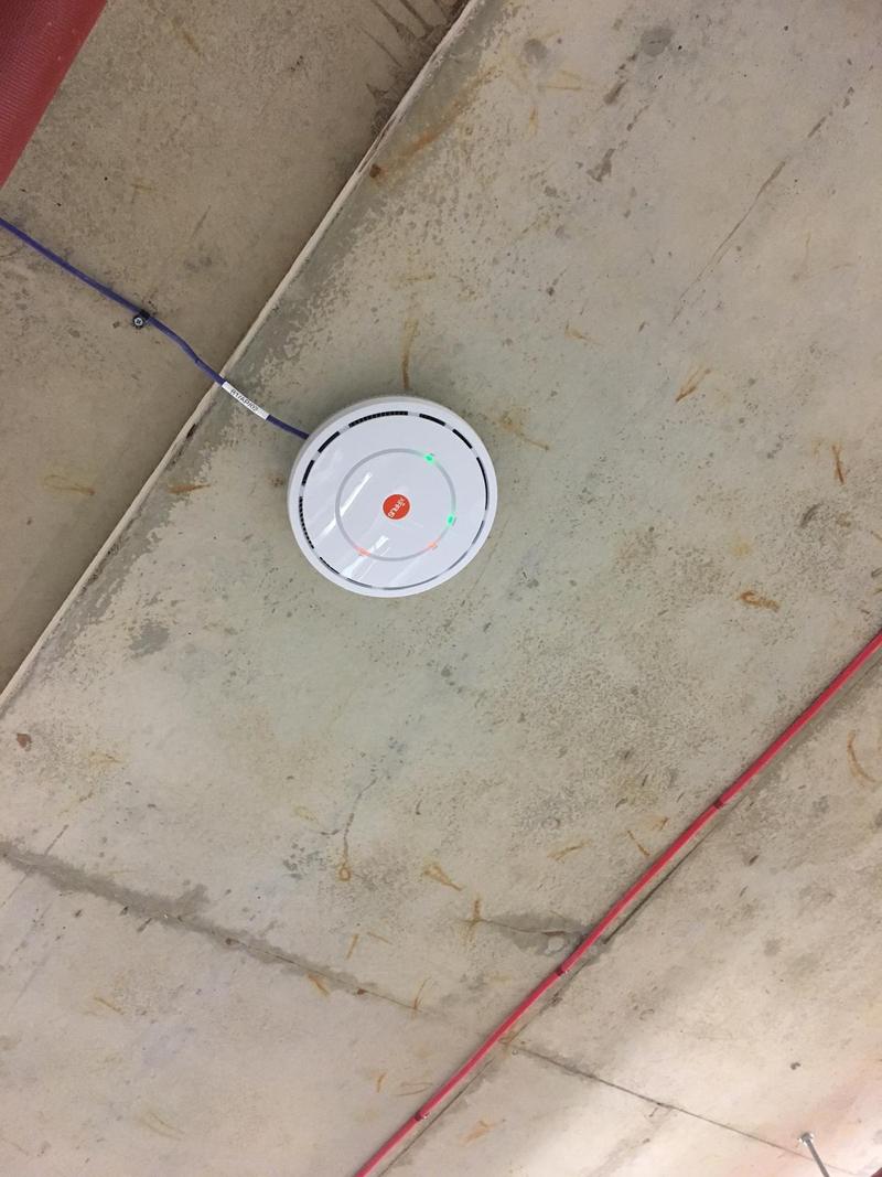 A round access point fixed to a bare concrete soffit with a violet Cat6 cable clipped to the slab and a printed label on the cable a few inches from the unit